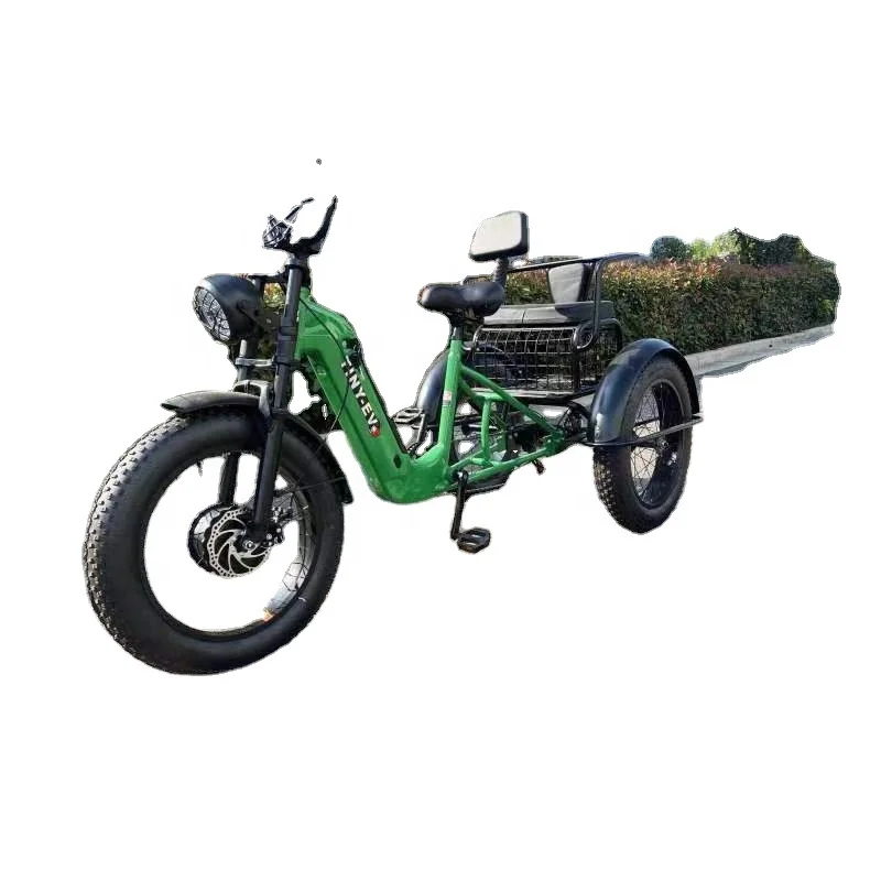 Сверхмощный Электрический грузовой автомобиль 1000W/1200W/1500W высокоскоростной трехколесный велосипед