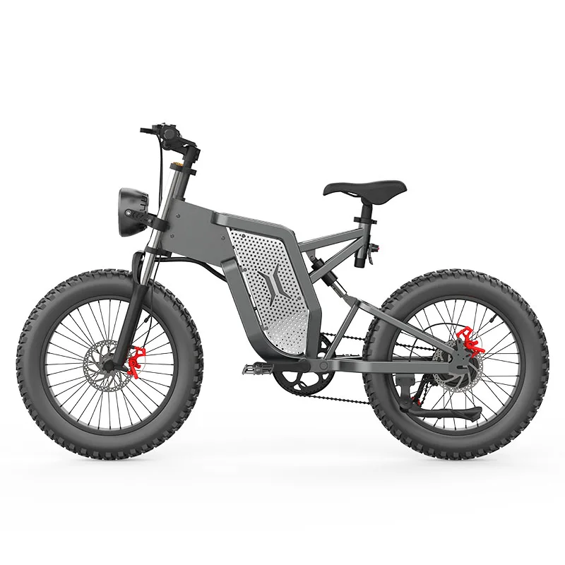 EKX X21 Adults Electric Bike 2000W 48V35AH High Capacity Battery Electric Motorcycles 20 Inch Off-Road Tyre Mountain Ebike X20