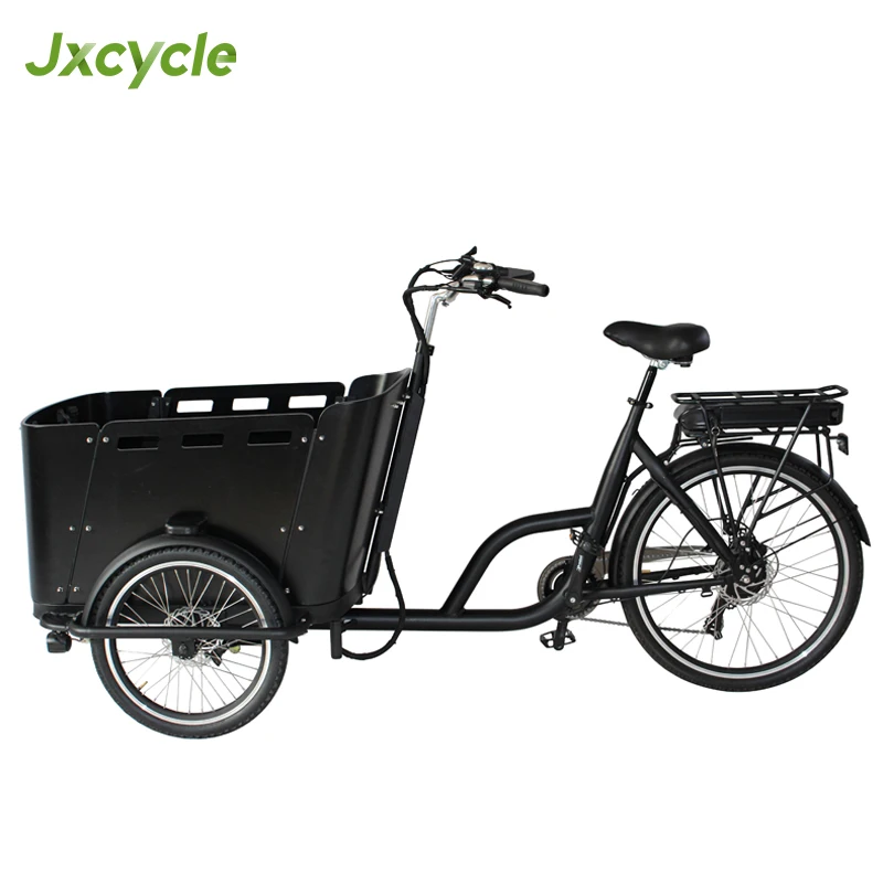 Three Wheel Cargo Bike for Kids Electric Tricycle With Box Bakfiets Family Bike