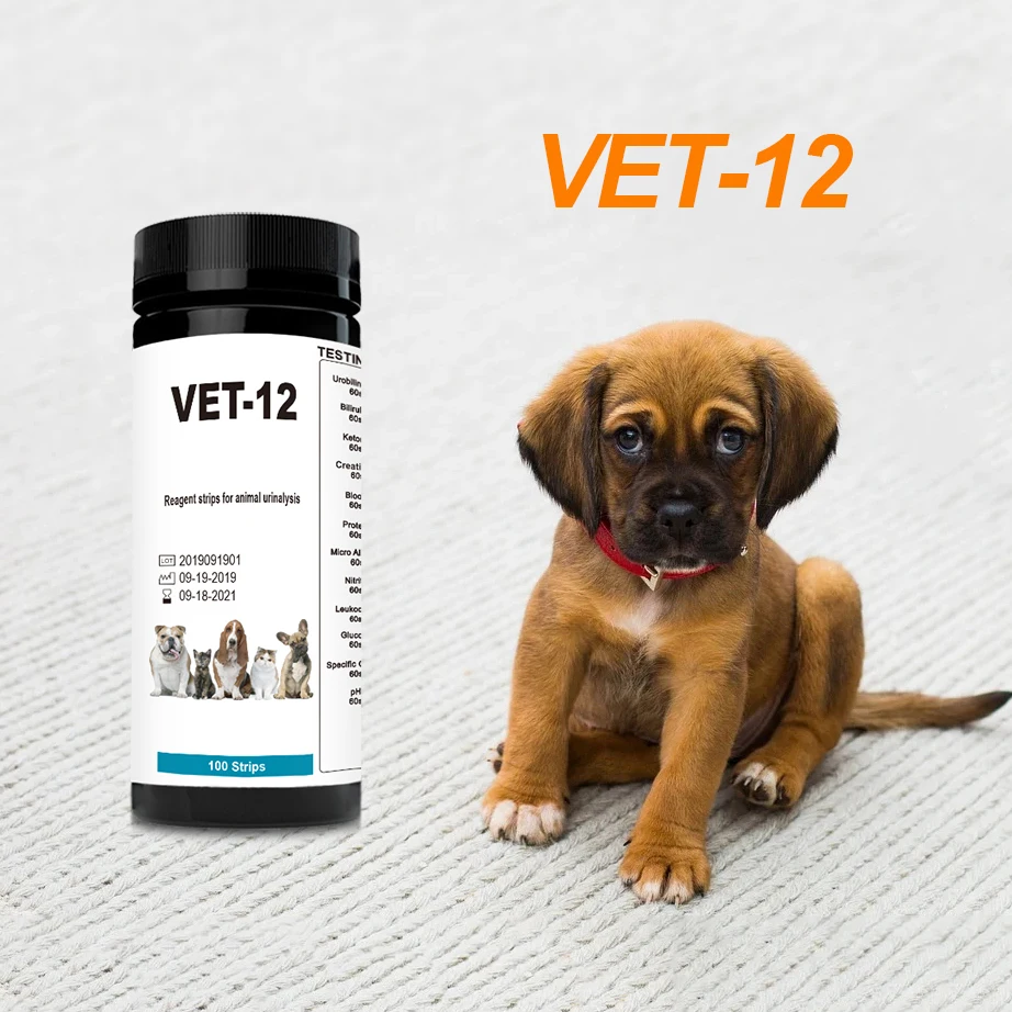 12 parameters Pet Urinalysis Test Strips, Ketone Protein Glucose Diagnostic Animal Urine testing Dipstick