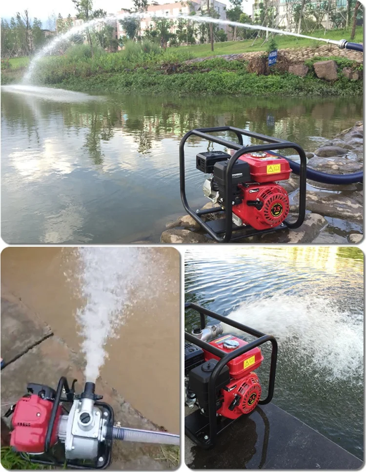 Petrol Small Farming Water Distribution Irrigation Machine 2/3/4 inch 4 Stroke WP20/30/40 Gasoline Water Pump