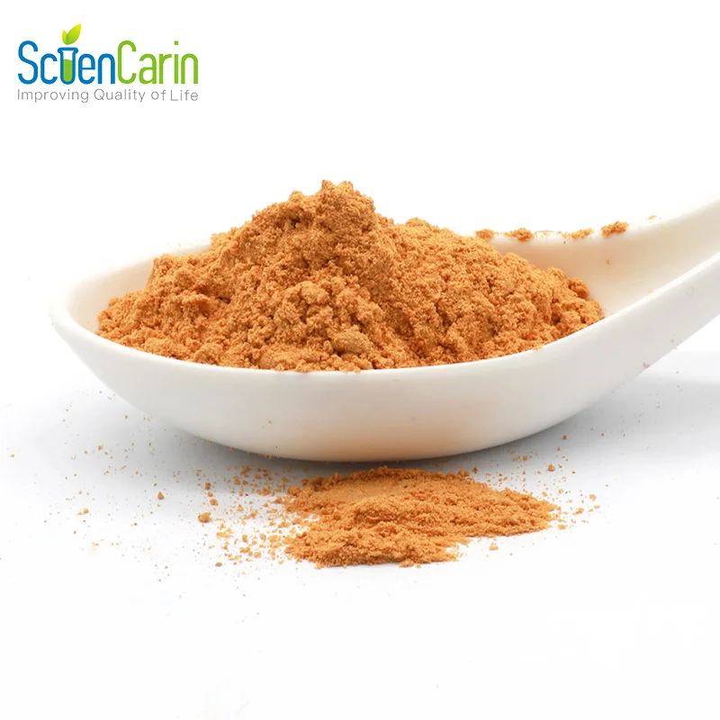 ISO Approved Natural Botanical Supplements 50% Brown Algae Kelp Extract Fucoxanthin