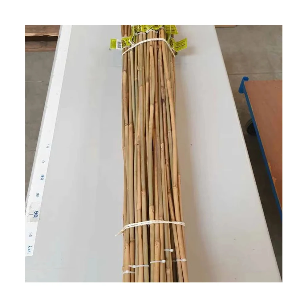 Support custom size small tonkin canes modern bamboo
