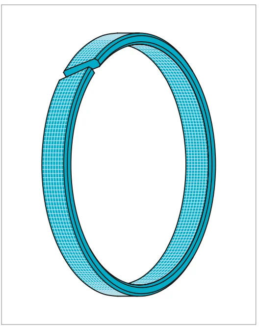 good price in stock white blue bearing wear guide ring