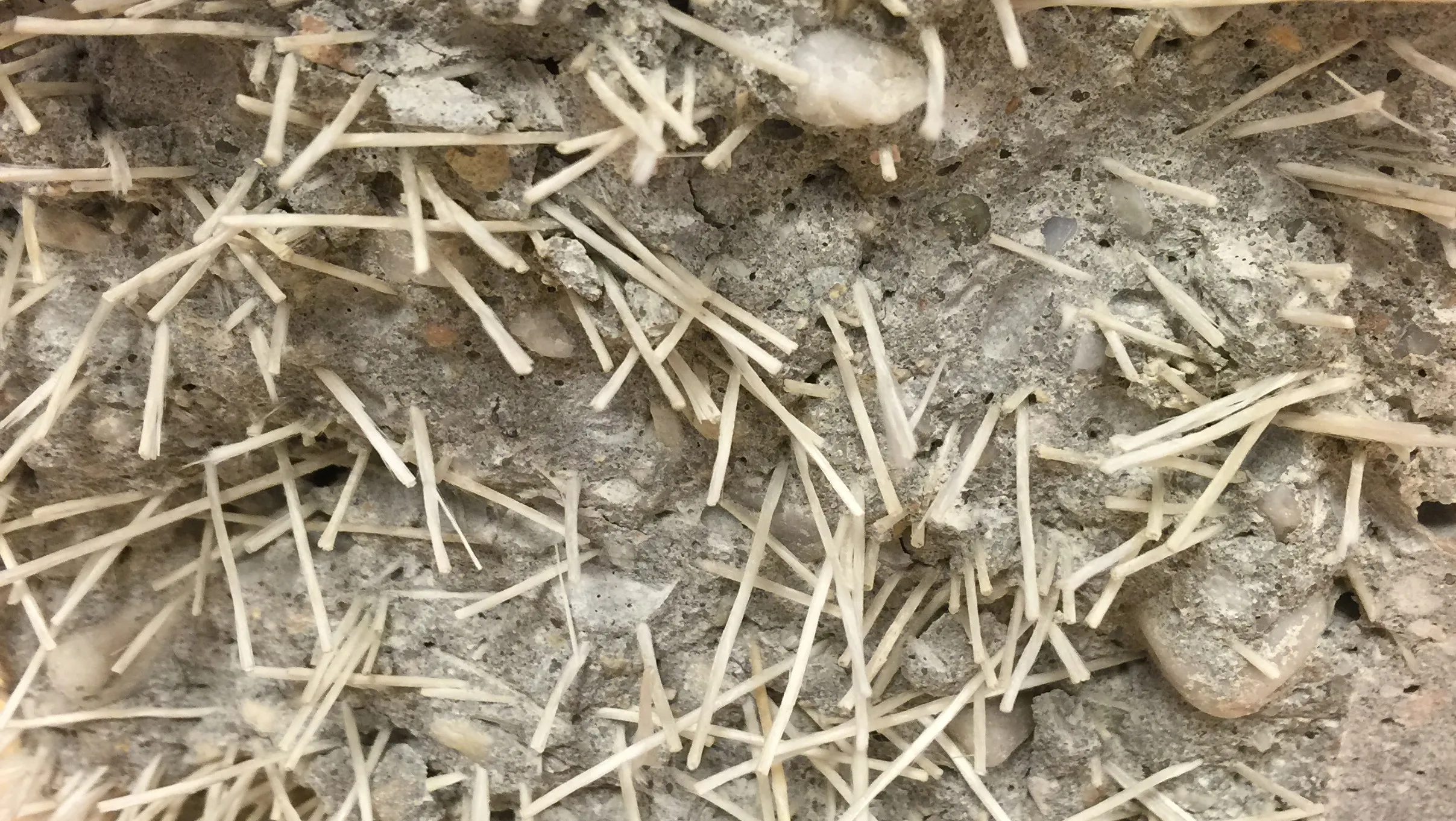 36mm Concrete reinforcement AR fiberglass chopped strand