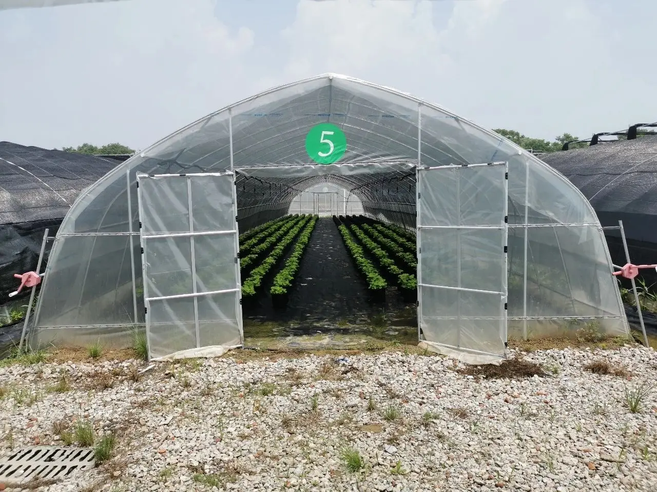 Gothic Arch Greenhouse Agricultural Plastic Green Houses