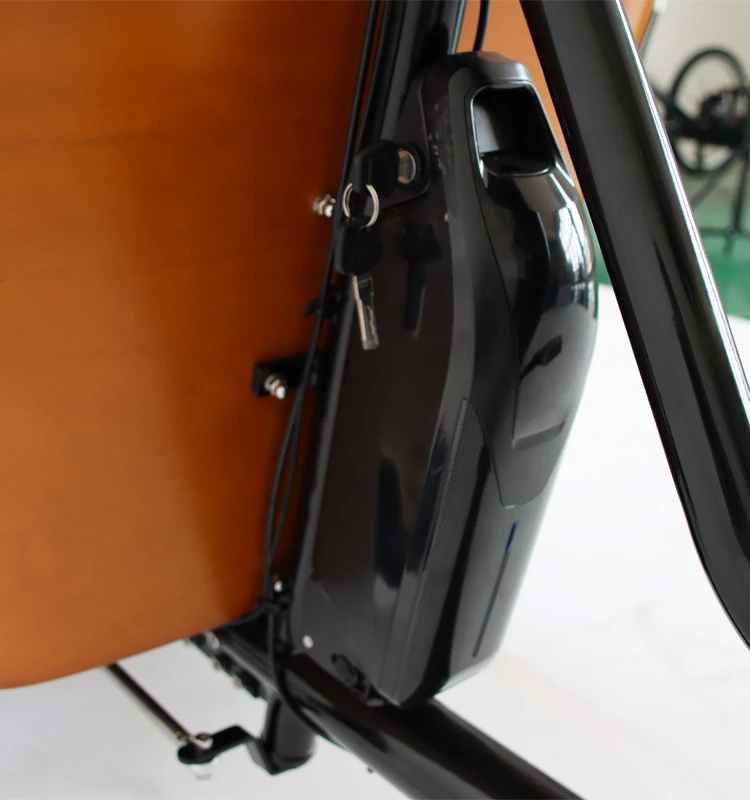 Europe Style 3 Wheel Bicycle With Cargo Box Front Loading Cargo Tricycle For Sale Electric And Manual Version Cargo Bike