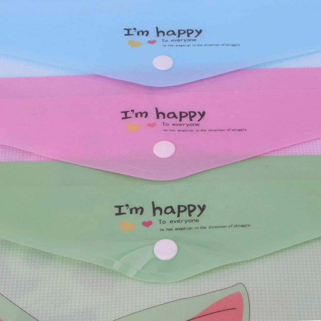 File Bag PP/PVC Folder 2 Pack A4 Envelope Document Storage Pouch Organizer for Office Business