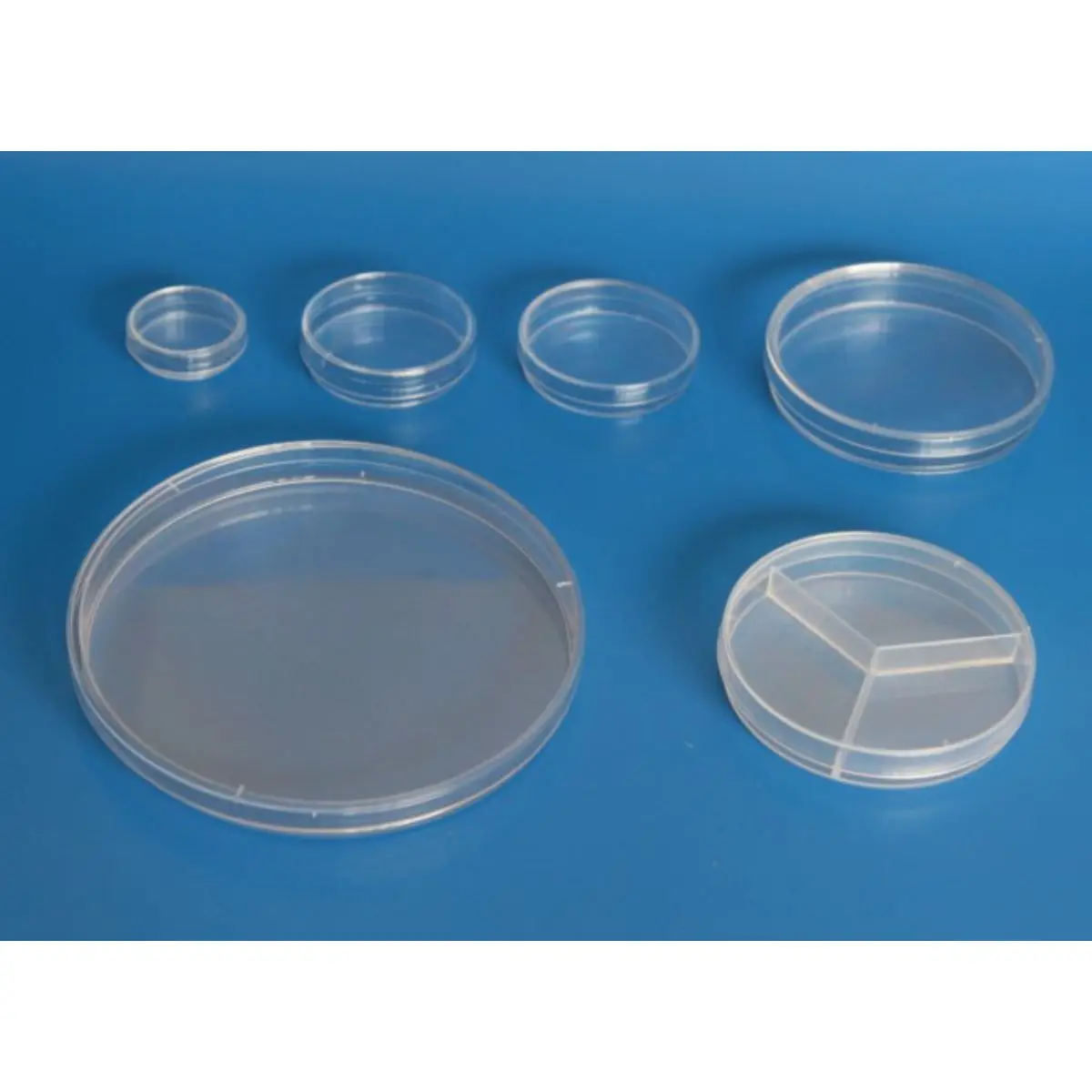 Petri dish plastic medical 60mm 70mm 90mm sterile with  ISO 13485 manufacturer variety style for lab tast