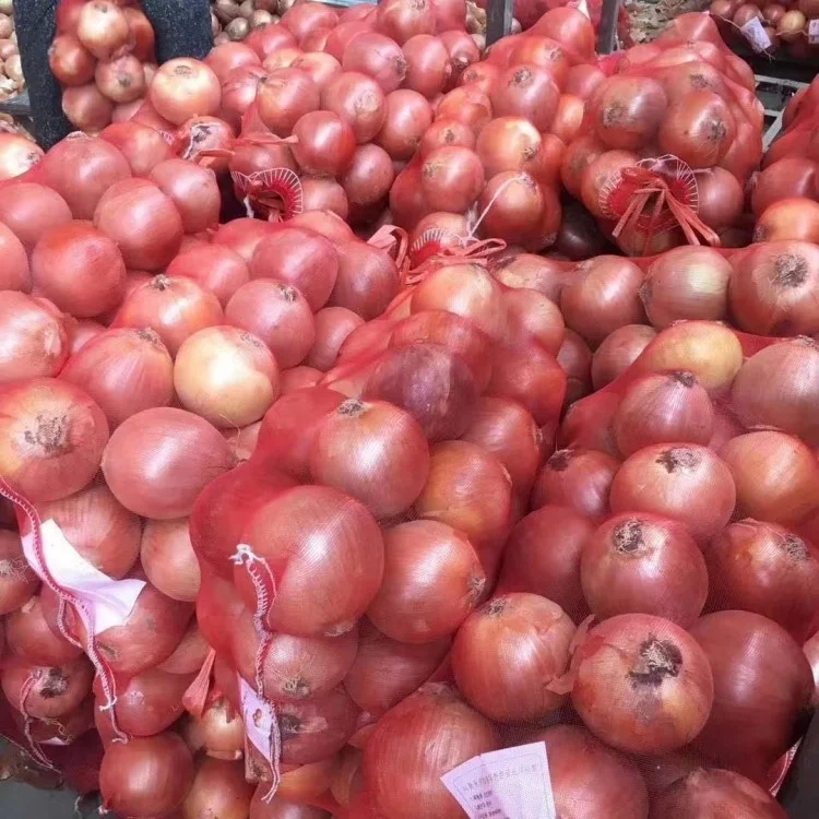 Chinese Fresh Yellow Onion Cheap Price Red Onions Export to Korea