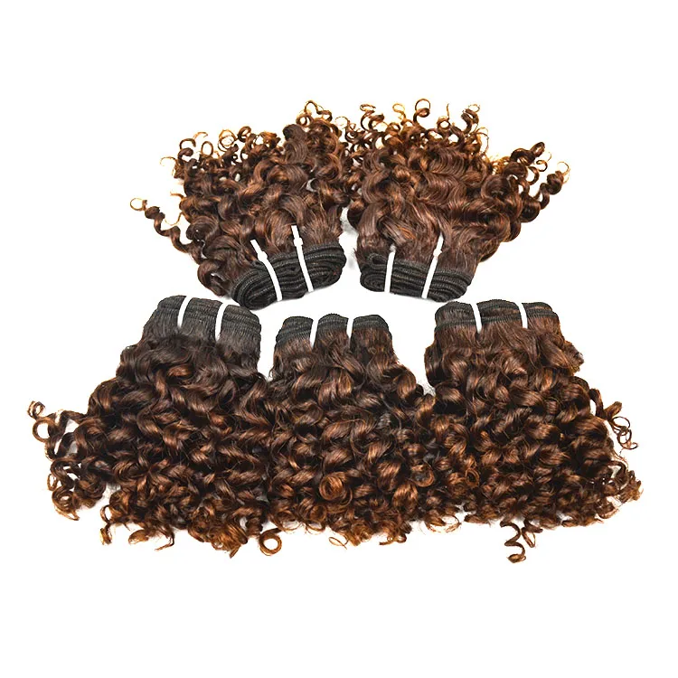 
High Quality Virgin Mayanmar Cuticle Aligned Burmese Raw Hair 5C Afro Kinky Curly Human Hair 