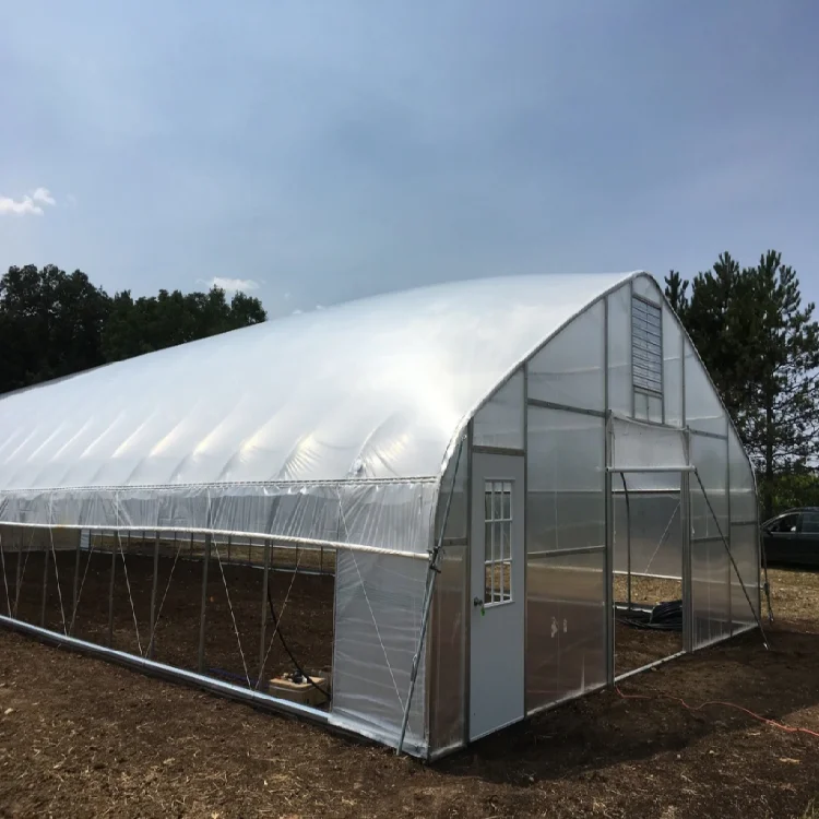  Недорогая сельскохозяйственная Однопролетная туннельная теплица 50x8