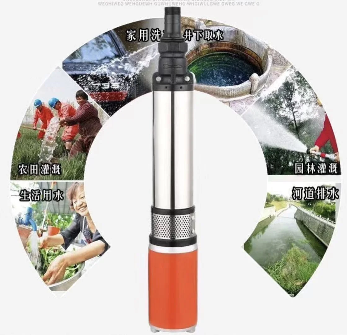 RANKING SP-80-72 Solar Power Submersible Deep  Well Pump for Developing Solar Power System 48V 60V 72V