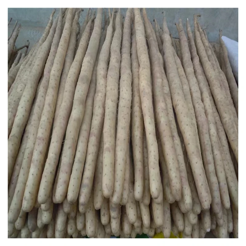 Selling Well All Over the World HALAL Factory Price Supply Wholesale Yam