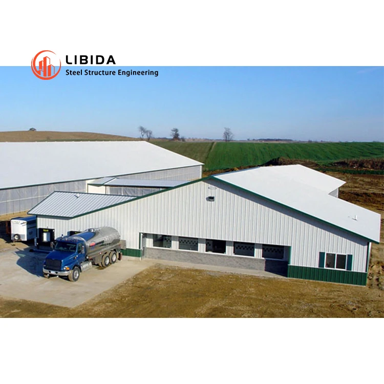 OEM/ODM Light Steel Fabrication Metal Steel Structure Farm Shed Steel Structural Warehouse Building