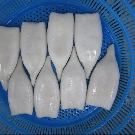 Factory direct frozen squid whole with the best price