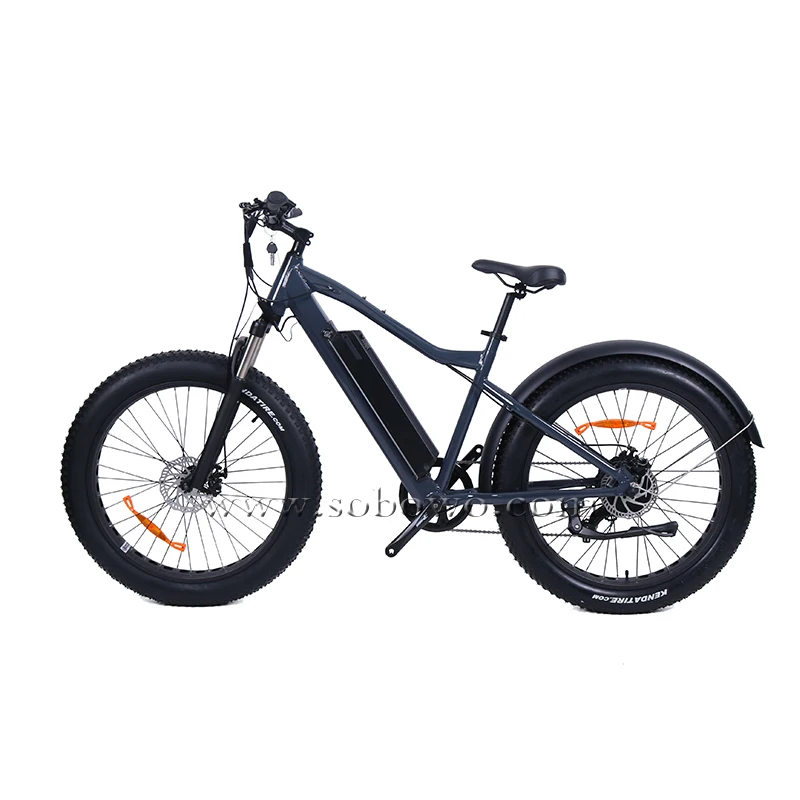OEM Customized Fat Tire Electric Mountain Bike Factory Price 750W Powerful Electric Bicycle for Sale