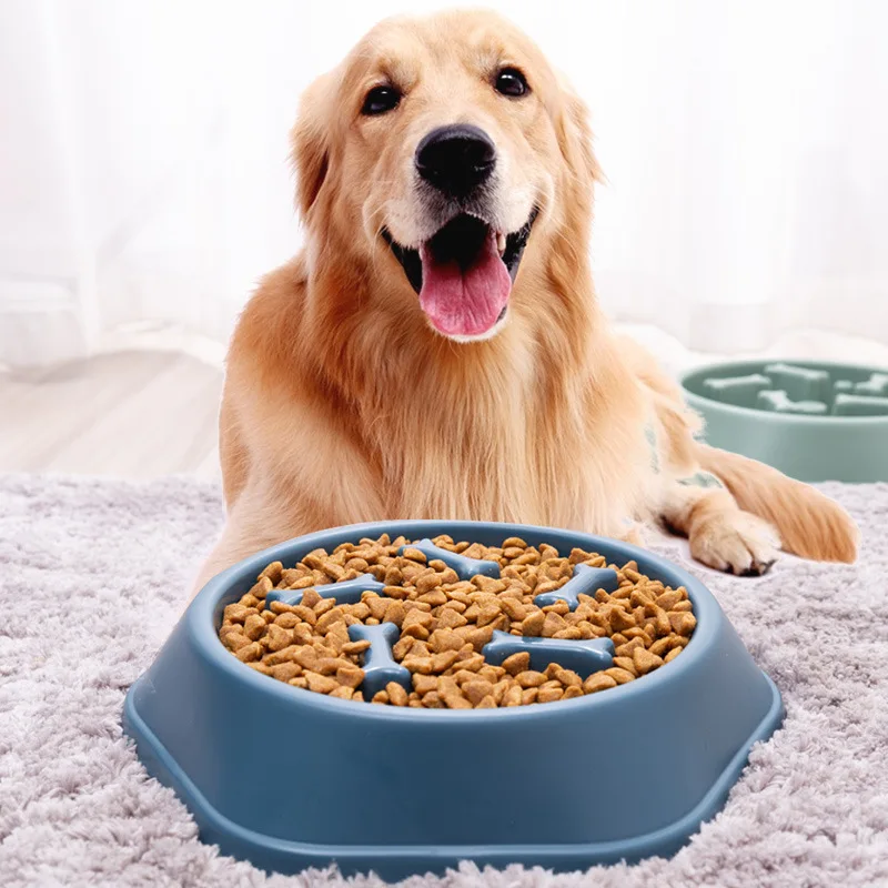 Interactive Slow Feeder Medium Dog Bowl Fun Healthy Eating Experience with Non-Slip Plastic small Pets Bowl