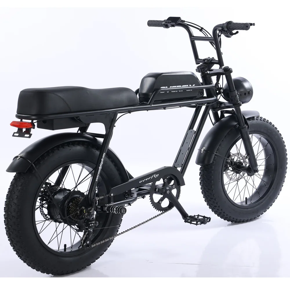 2023 Fat tire electric bicycle (FP-EB23006)