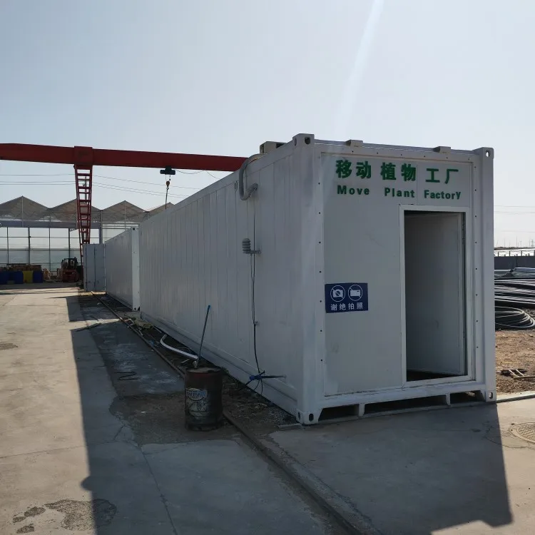 Smart Farm Grow Hydroponic Vertical Farming System 40ft Shipping Container Greenhouse