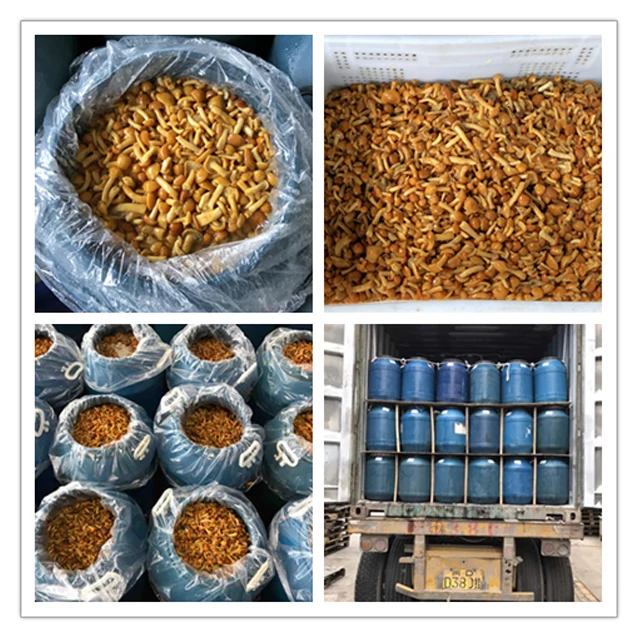  Распродажа nameko в барабане/nameko рассоле/часто задаваемые вопросы