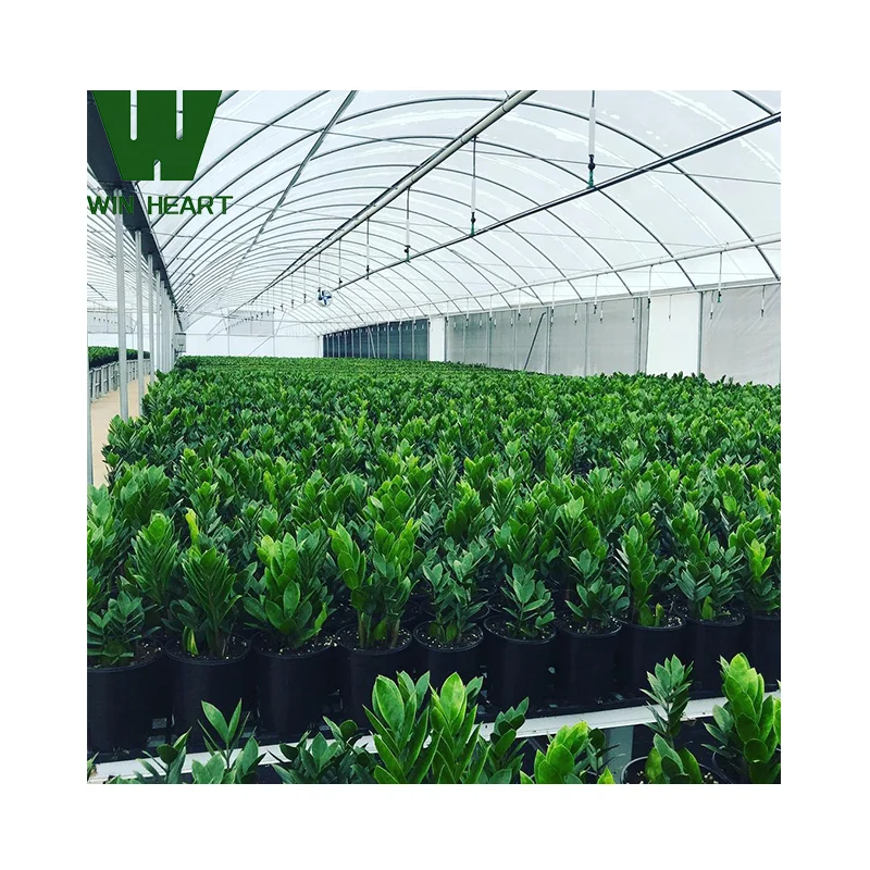 Hydroponic system Plant growth system Agricultural irrigation greenhouse