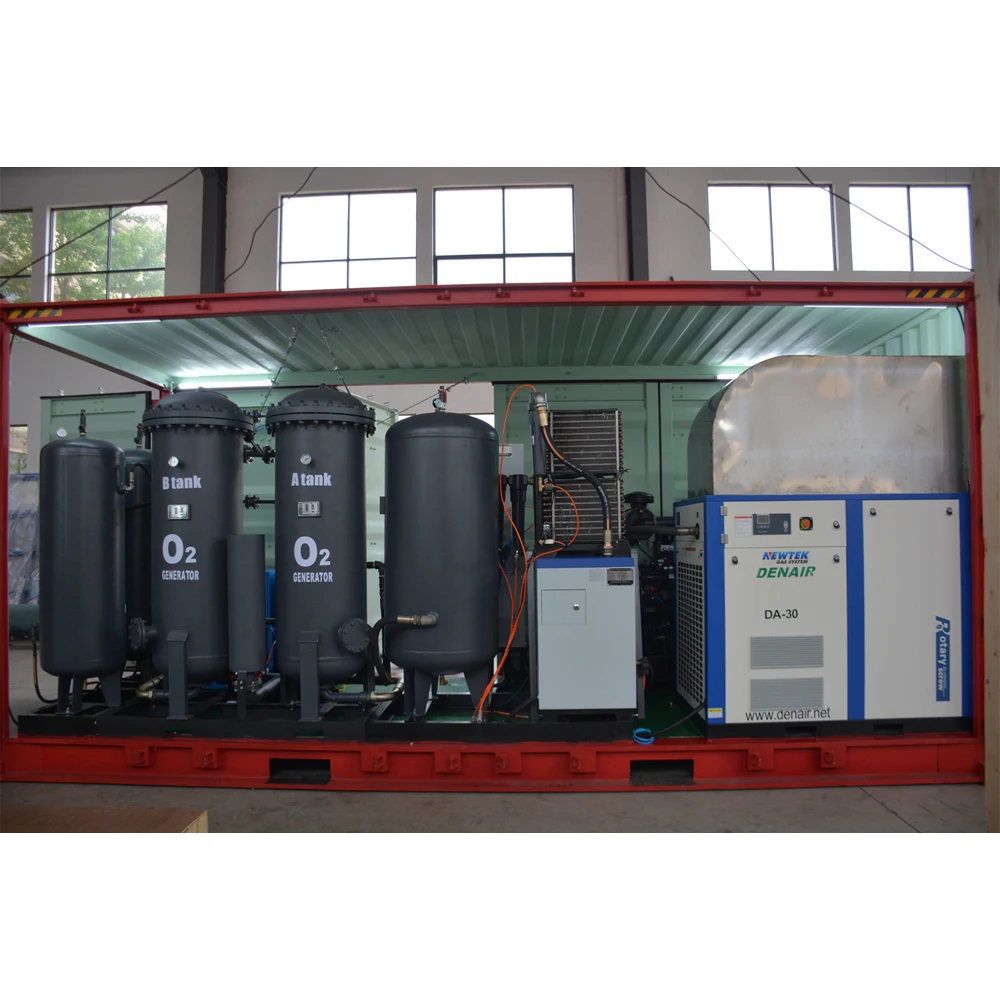 NEWTEK Container Medical Oxygen Generator Portable Oxygen Generation System High Purity