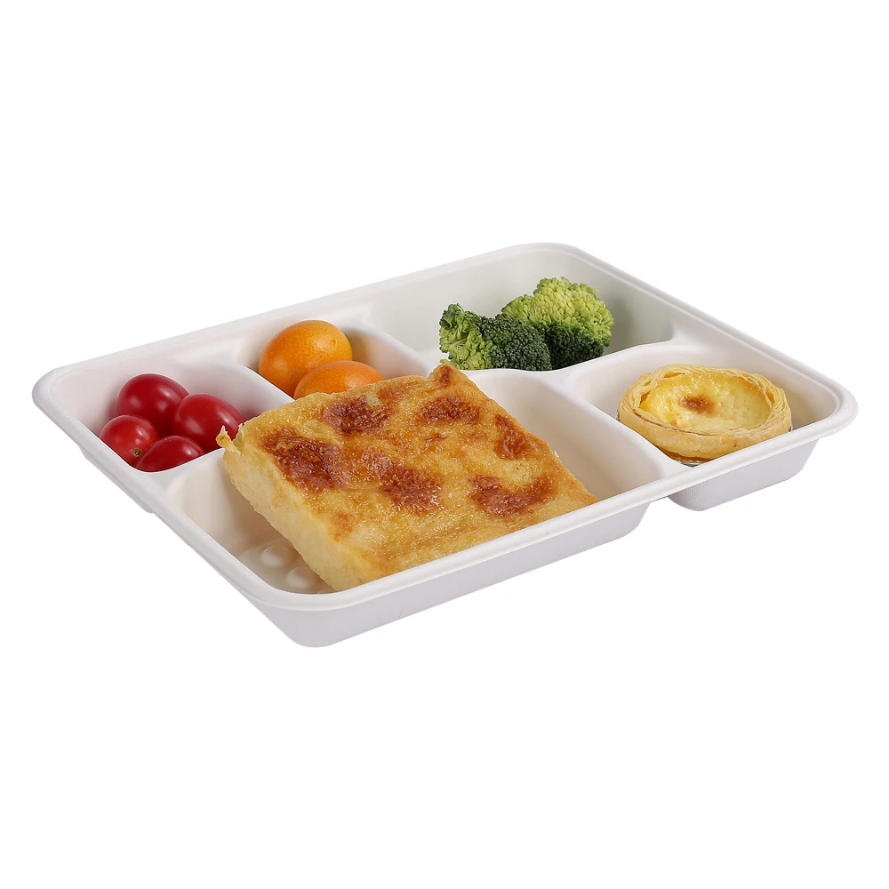Wholesale 5 compartment disposable bagasse tray for food tableware