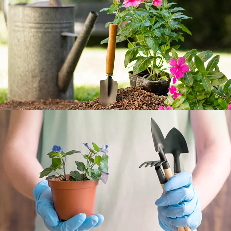 Gardening Gifts Metal Wood Mini Garden Tool Set 3 Pieces Iron Gardening Kit Including Shovel and Rake with Wood