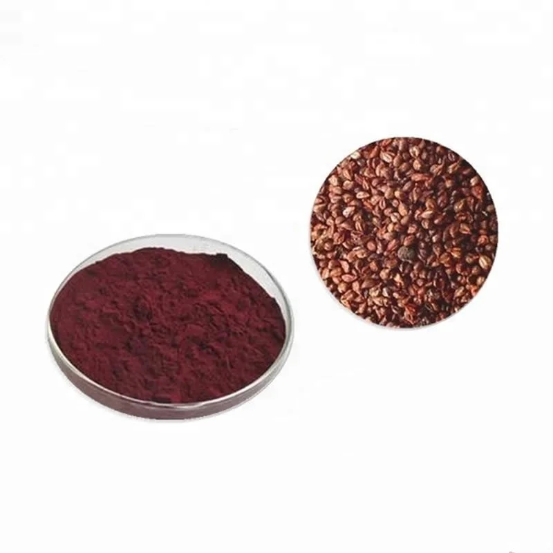 Best Seller Natural Water souble Grape Seed Extract 95% OPC Powder