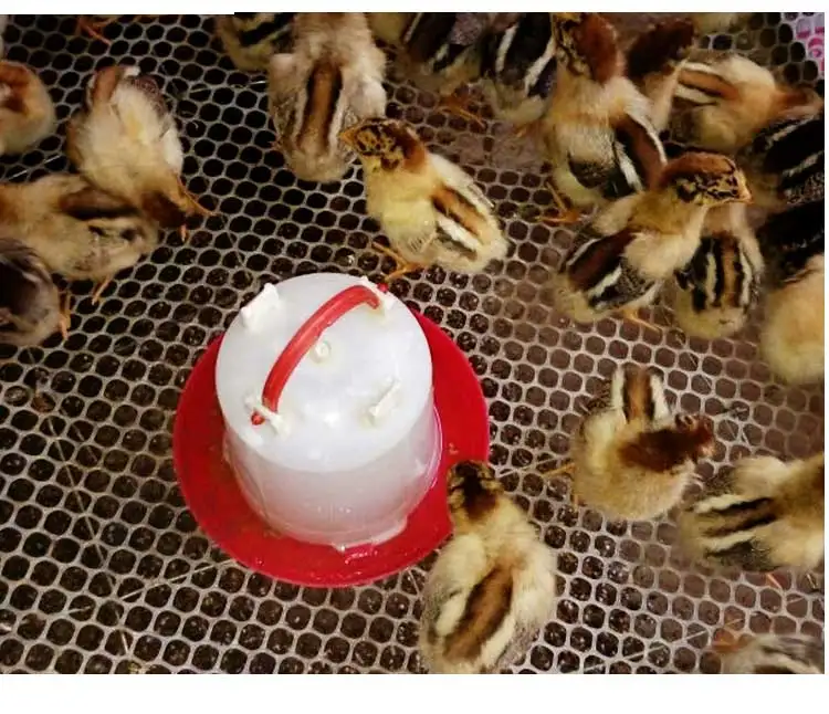 2024 hot Automatic chickens feeder poultry plastic chicken drinker for farm trough waterer drinker feeder chicken water bowl