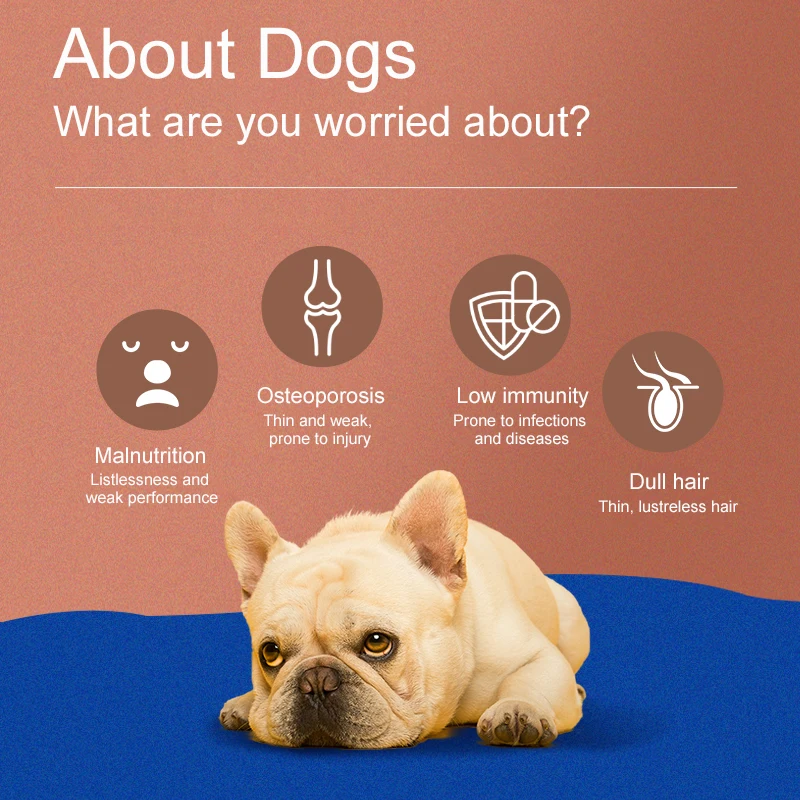 500 г семейный корм для домашних животных заводская упаковка корма собак все-в-одном на продажу