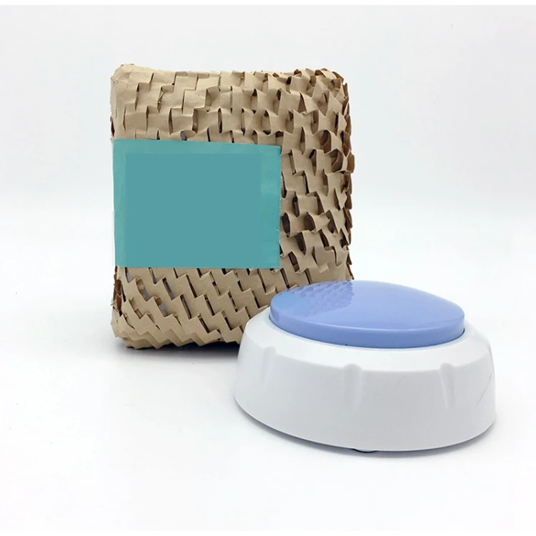 New Arrival Hot-selling Recordable Message Button for Dog Training Toys