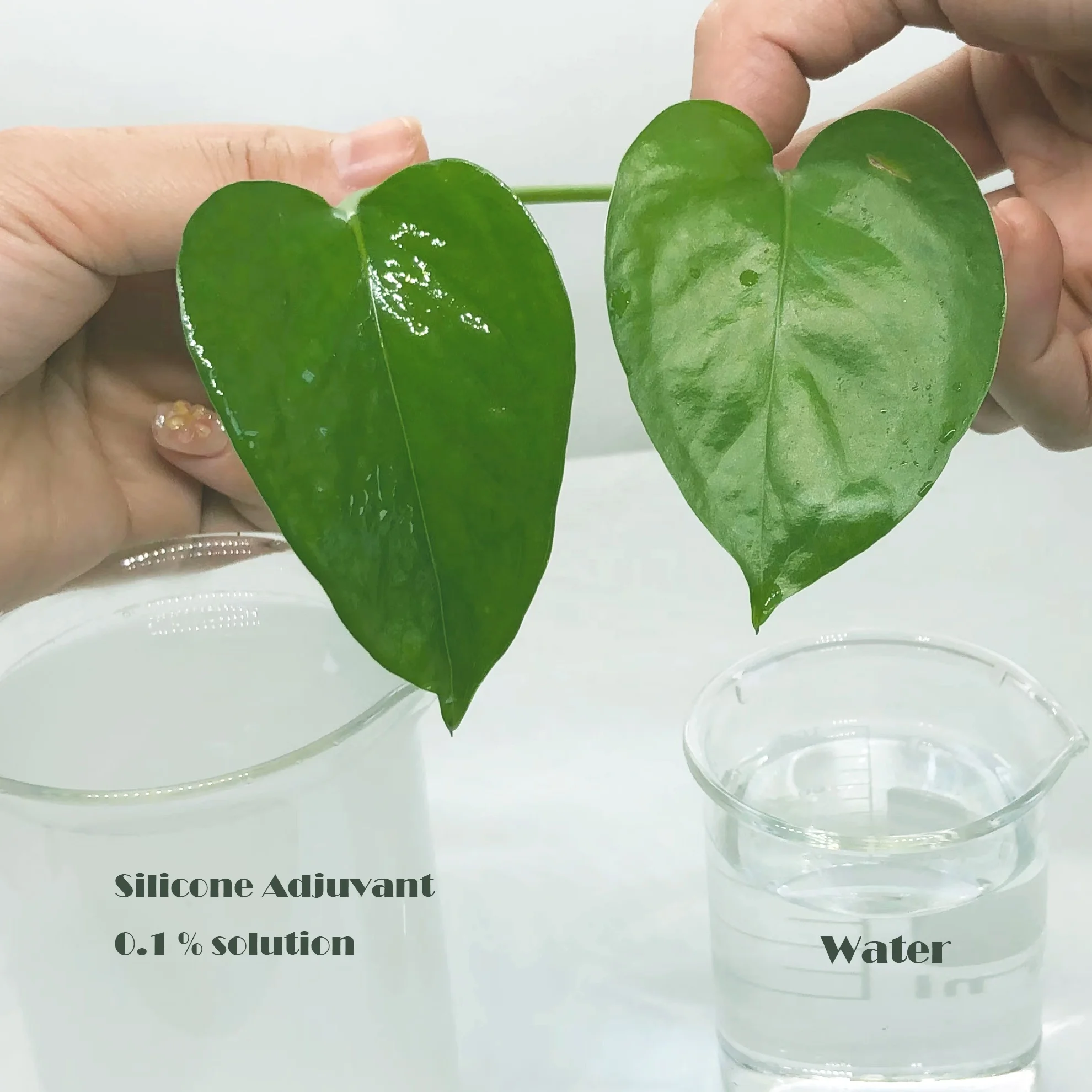 BQ-109 manufacturer Agricultural Silicone Surfactant 200kg liquid Silicone pH 3~10  Agricultural Wetting Agent