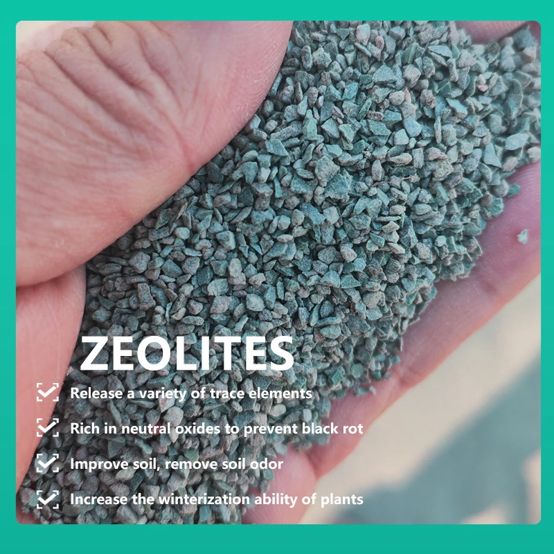 Natural Zeolite Stone Particles Effective for Pond Water Treatment and Soil Improvement