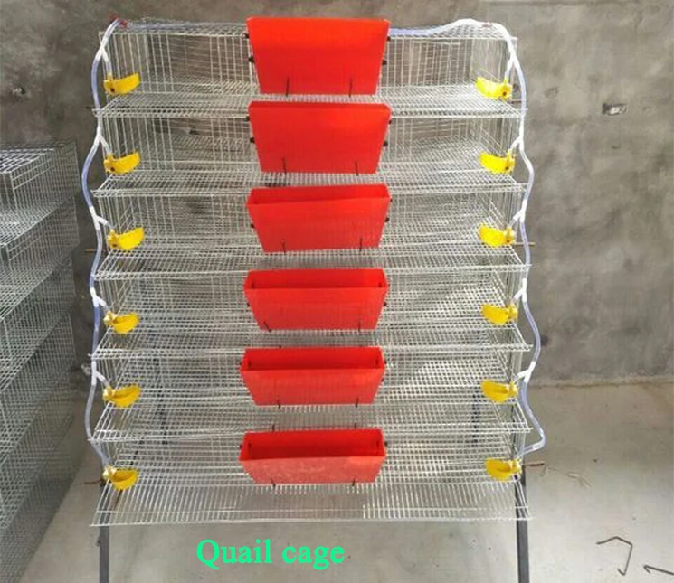 
Poultry farm chicken coop layer chicken cage Quail cages for sale 