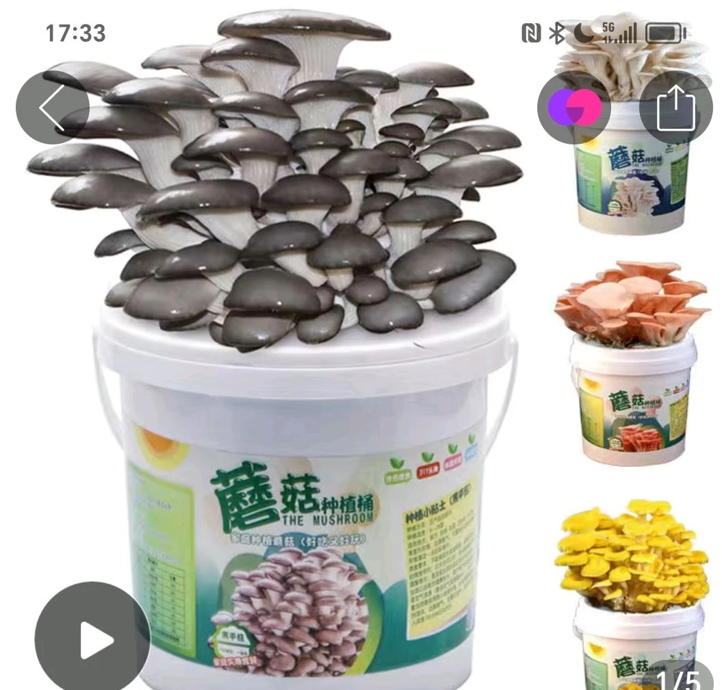 Пленка против тумана 5-слойная ультрафиолетовая прозрачная полиэтиленовая сельскохозяйственная тепличная пластиковая 100 120 150 180 200 250 микрон крышка синего цвета