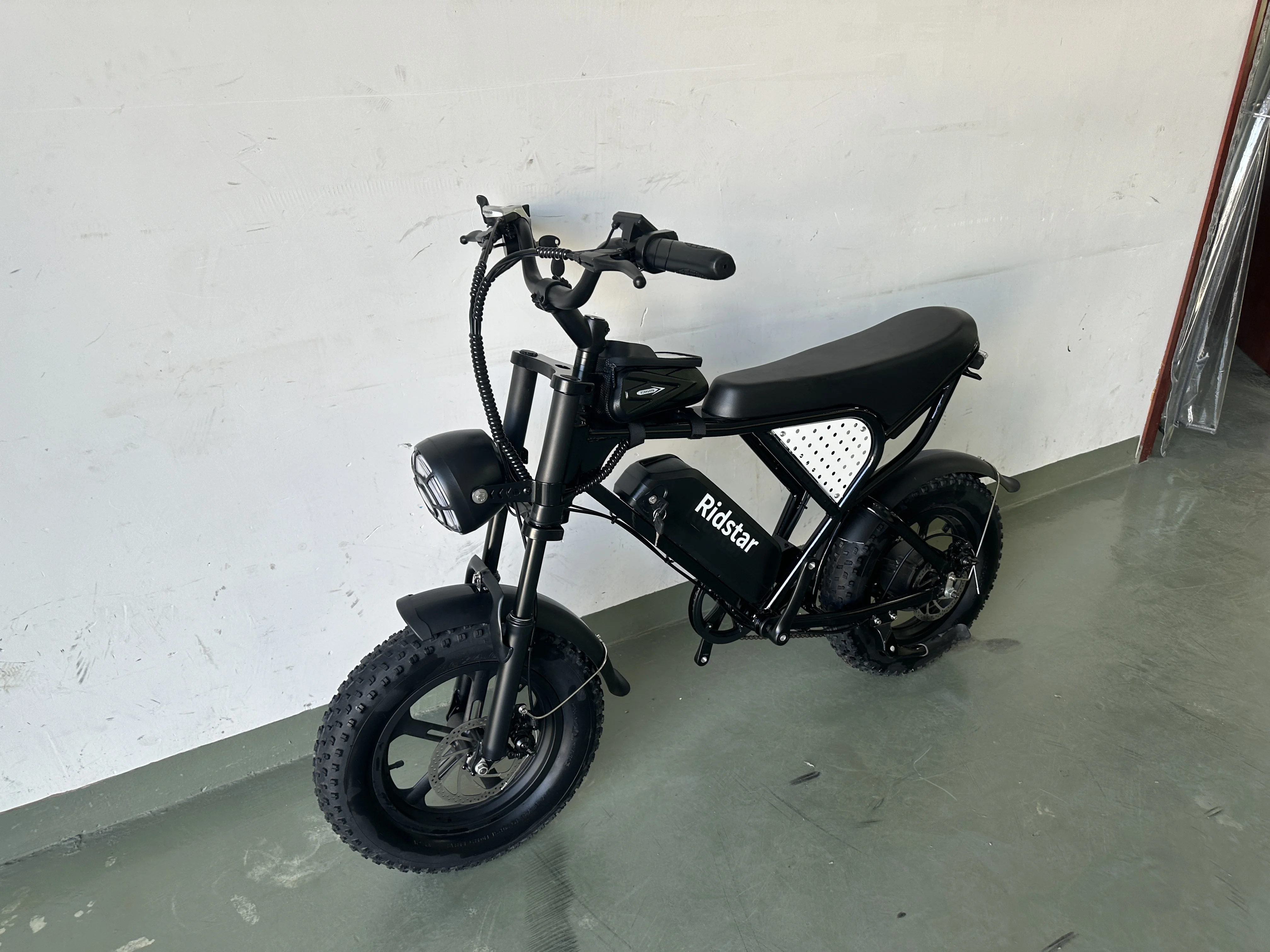 Factory Wholesale Fat Tire Central Mid Drive Dual Lithium Battery Ebike Aluminum Alloy Oem Electric Mountain Bike 16 Inch 1000w