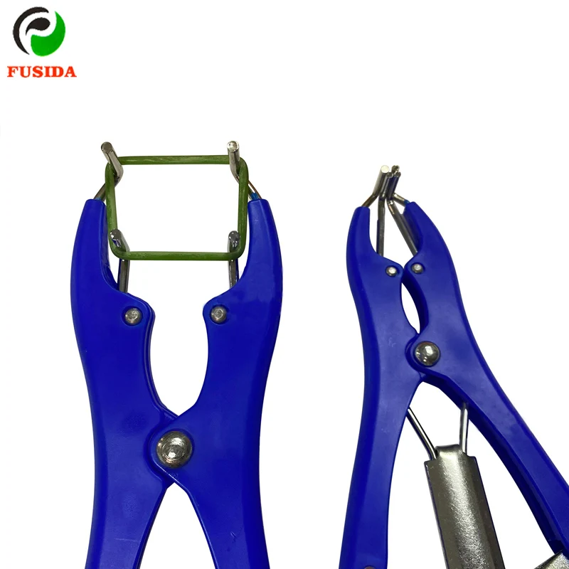 Piglets Sheep Goat Tail Goat Bloodless Castrator Bloodless Burdizzo Castration