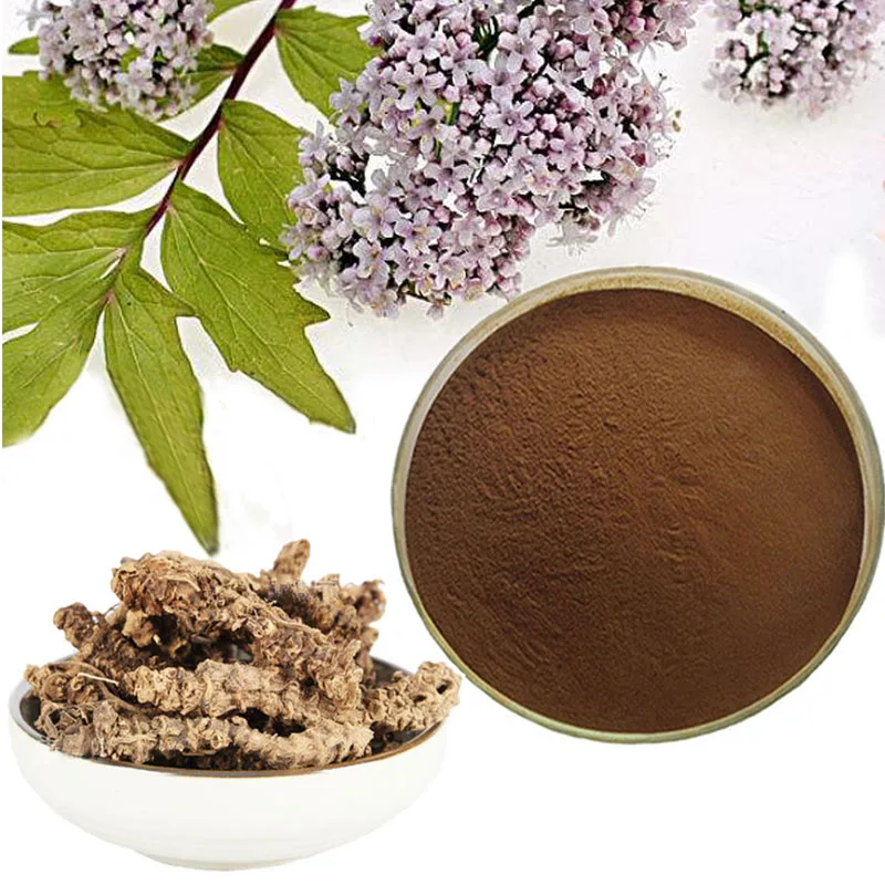 Valeriana officinalis Valerian Vetiver radix valerianae extract Valeric acid powder