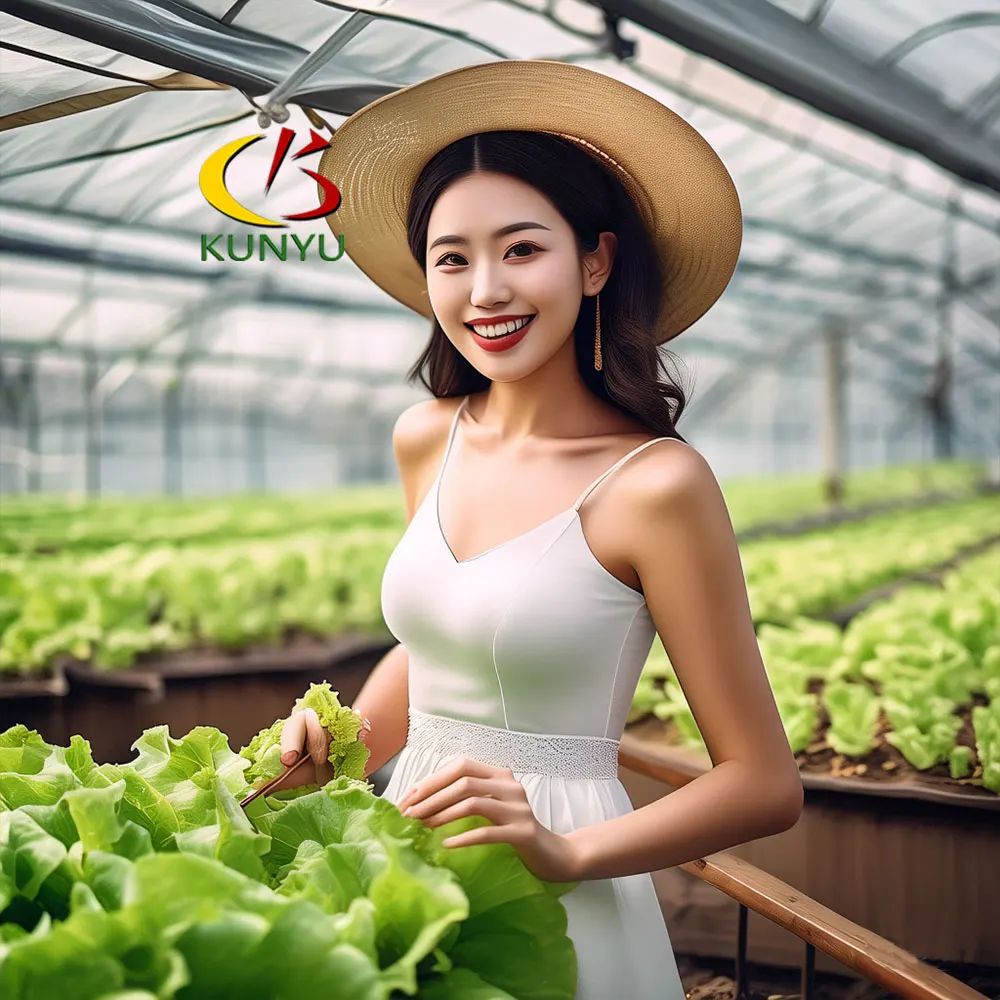 Single Tunnel Polycarbonate Greenhouse for Growing Vegetable