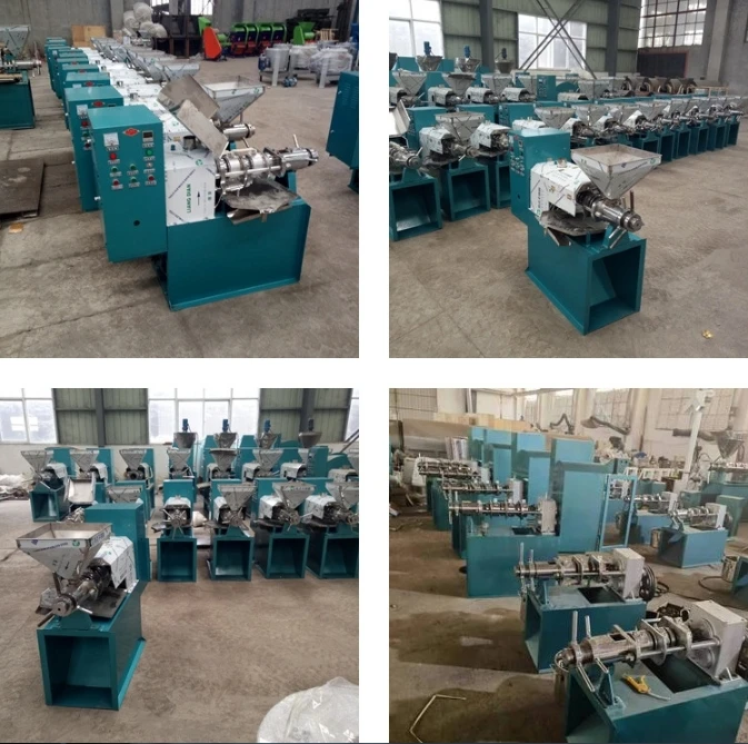 Hot Selling Coconut Olive Sesame Hydraulic Spiral Oil Press Fully Automatic Industrial Cold Press Price