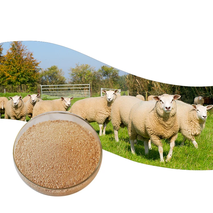 Best L lysine Price 25kg hcl veterinary product Lysine Animal Feed Additive