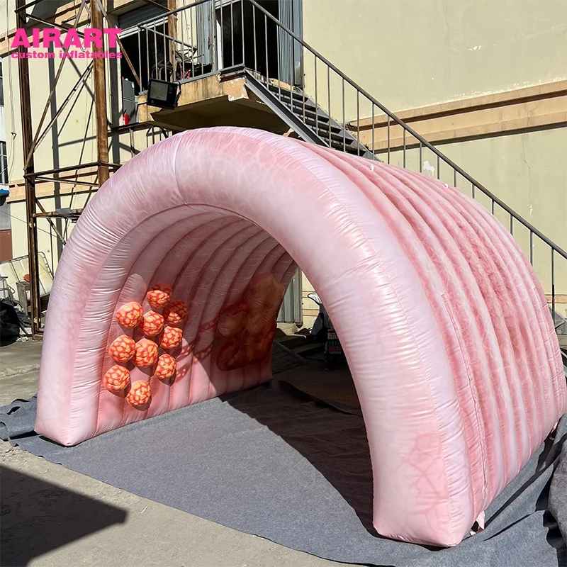 Гигантский надувной колоний индивидуальный органный туннель