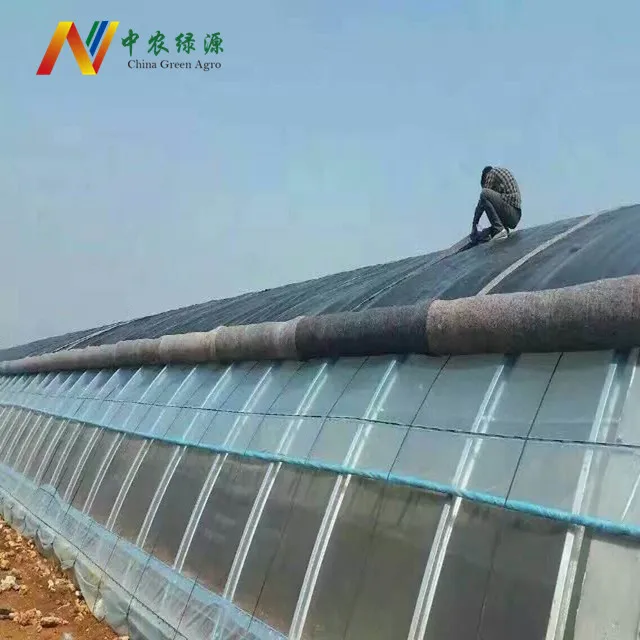 Agricultural Cucumber Used Solar Green house small green house