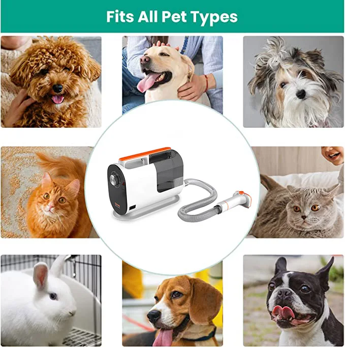 2024 Hot Sell Pet Grooming Vacuum Cleaner Kit Portable Low Noise Cat Hair Tool Dog Vacuum Cleaner In Stock