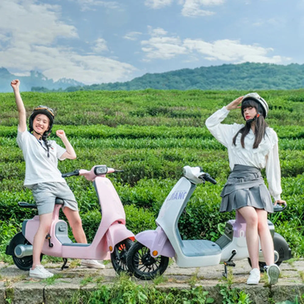 Fashionable and simple dual hydraulic shock absorption smart APP wide pedal cartoon digital display dashboard electric scooter