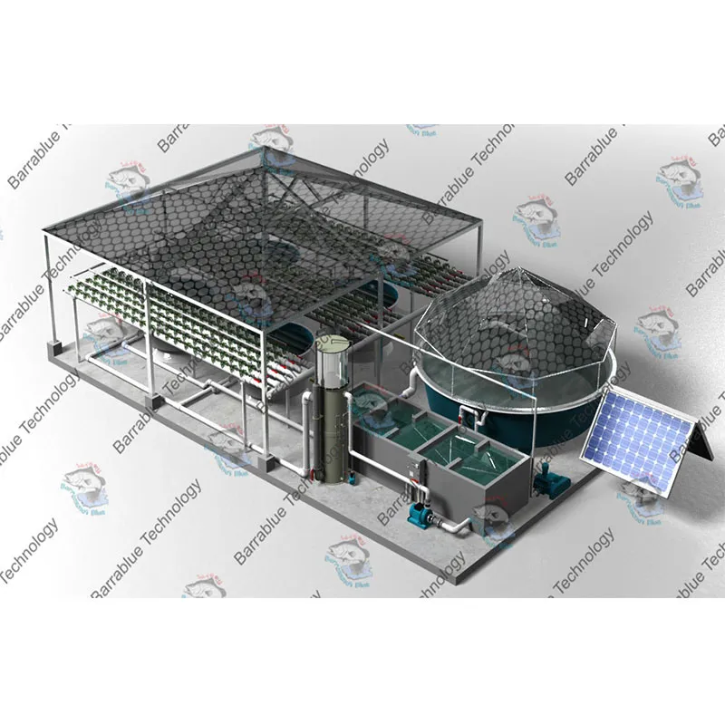 Recirculating Aquaculture RAS System Ras Fish Farm Filter System