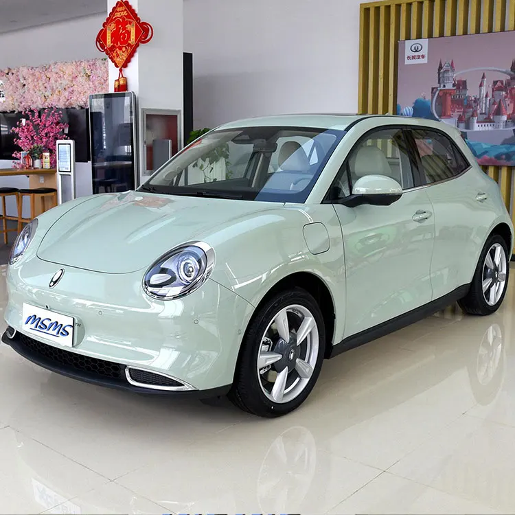 New 2022 Small New Energy Vehicle Hot Selling Chinese Euler Good Cat 401km Standard Endurance Type Mini Electric Used Car