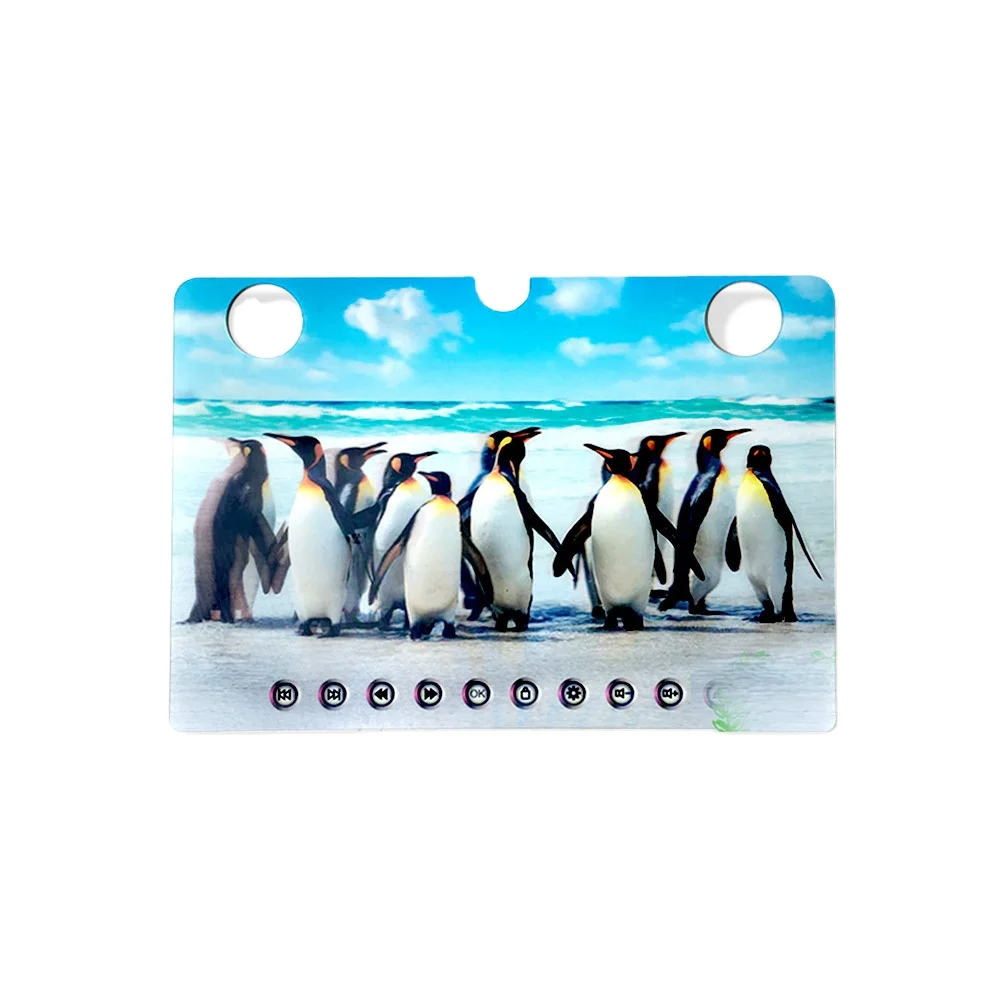 Free design PET 5D flip pictures poster animal 3D picture flower printing penguin 3D Lenticular picture for notebook/bookmark